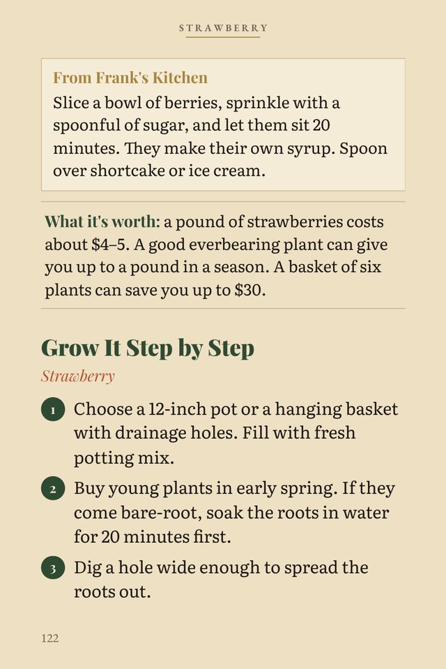 Strawberry: step by step